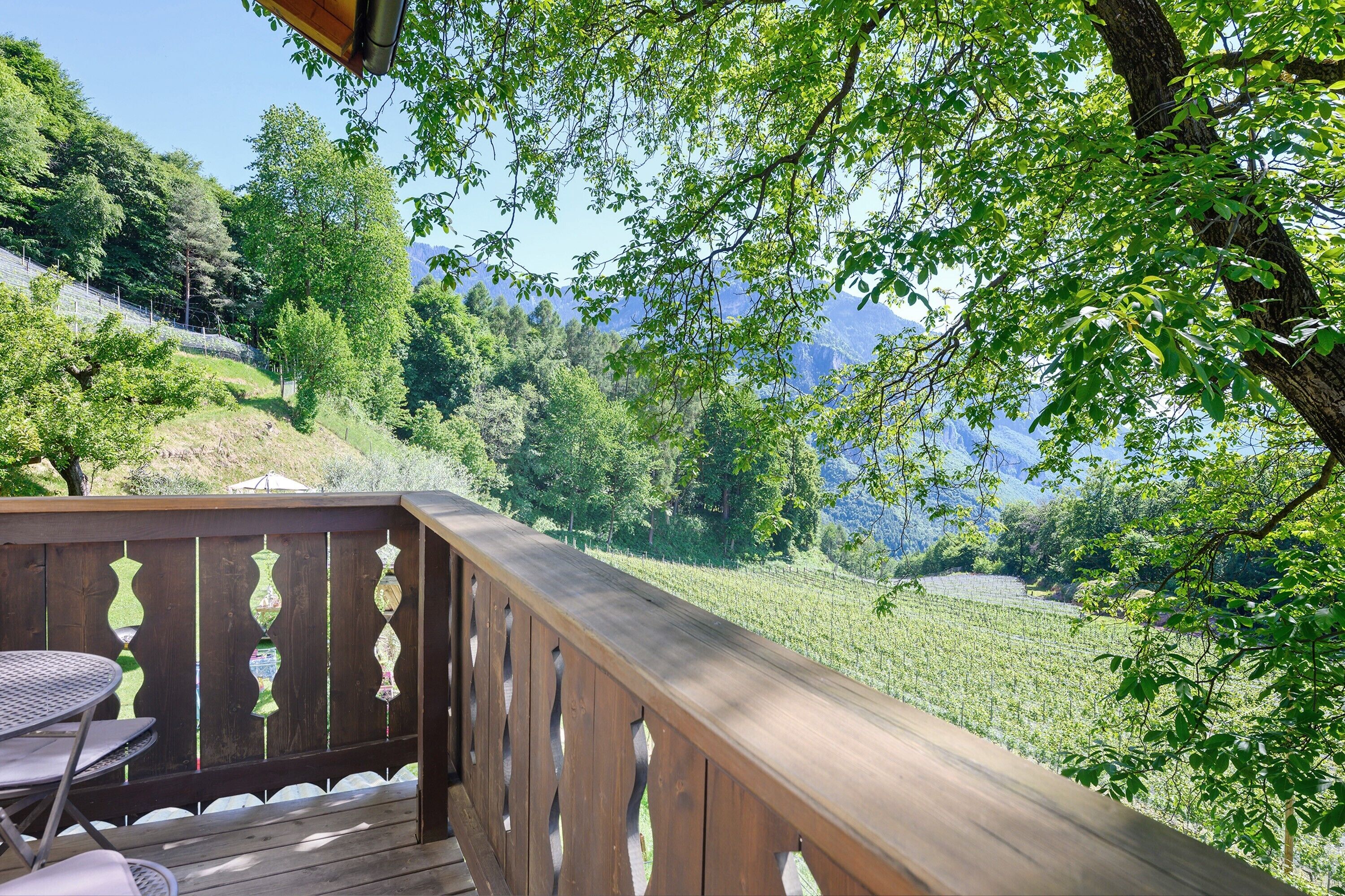 Parco della struttura