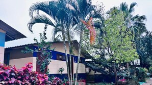 A residential building with a blue and beige facade, surrounded by lush greenery and palm trees.