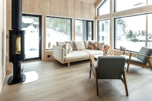 Fernseher, Kamin