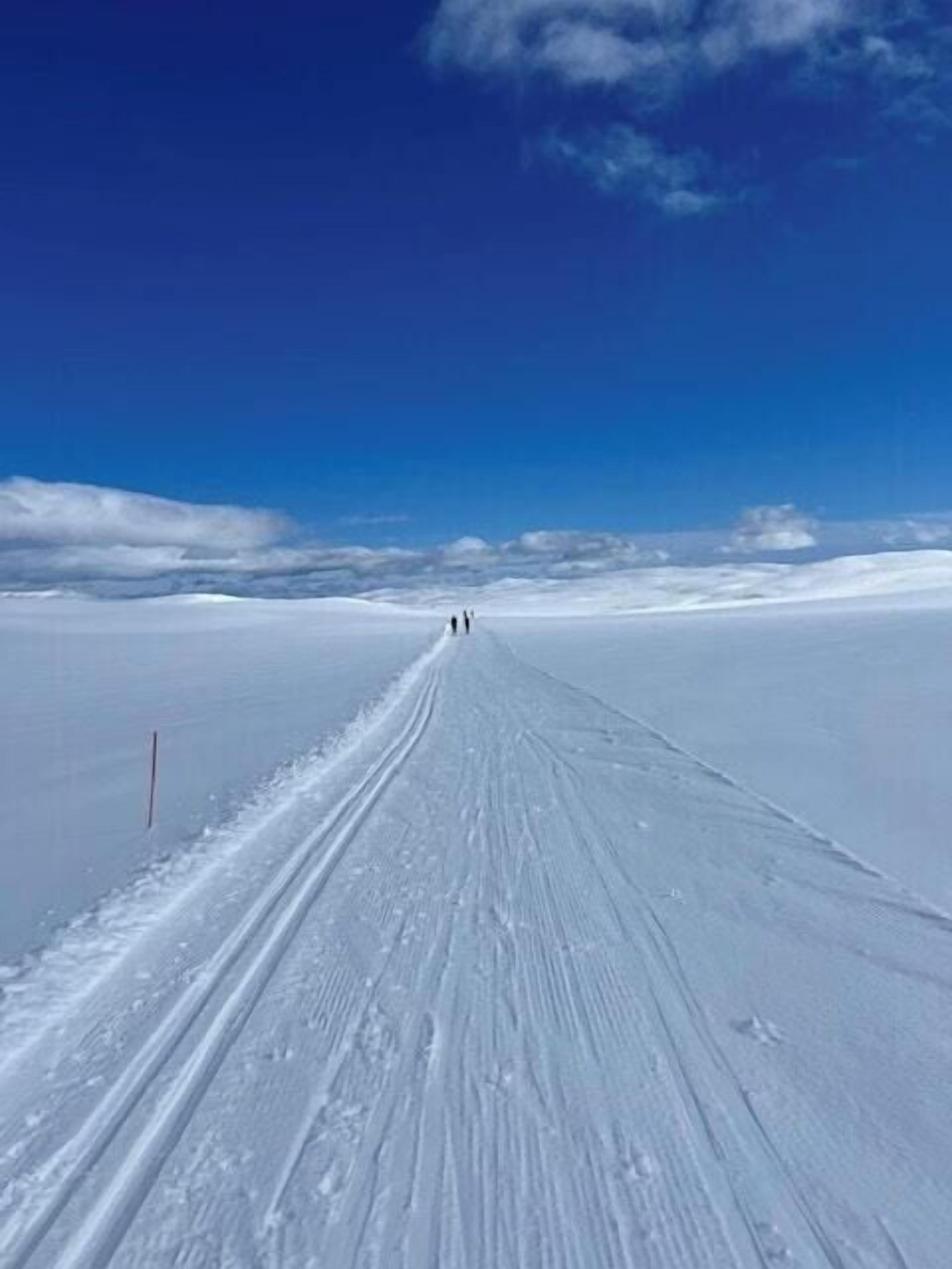 Deportes de invierno y ski