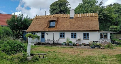 Maison au toit de chaume datant de 1850 près d'Arresø