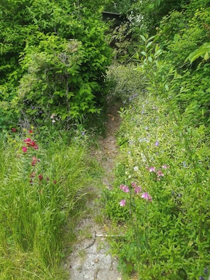 Un sendero estrecho y natural rodeado de vegetación densa y diversas plantas florecientes.