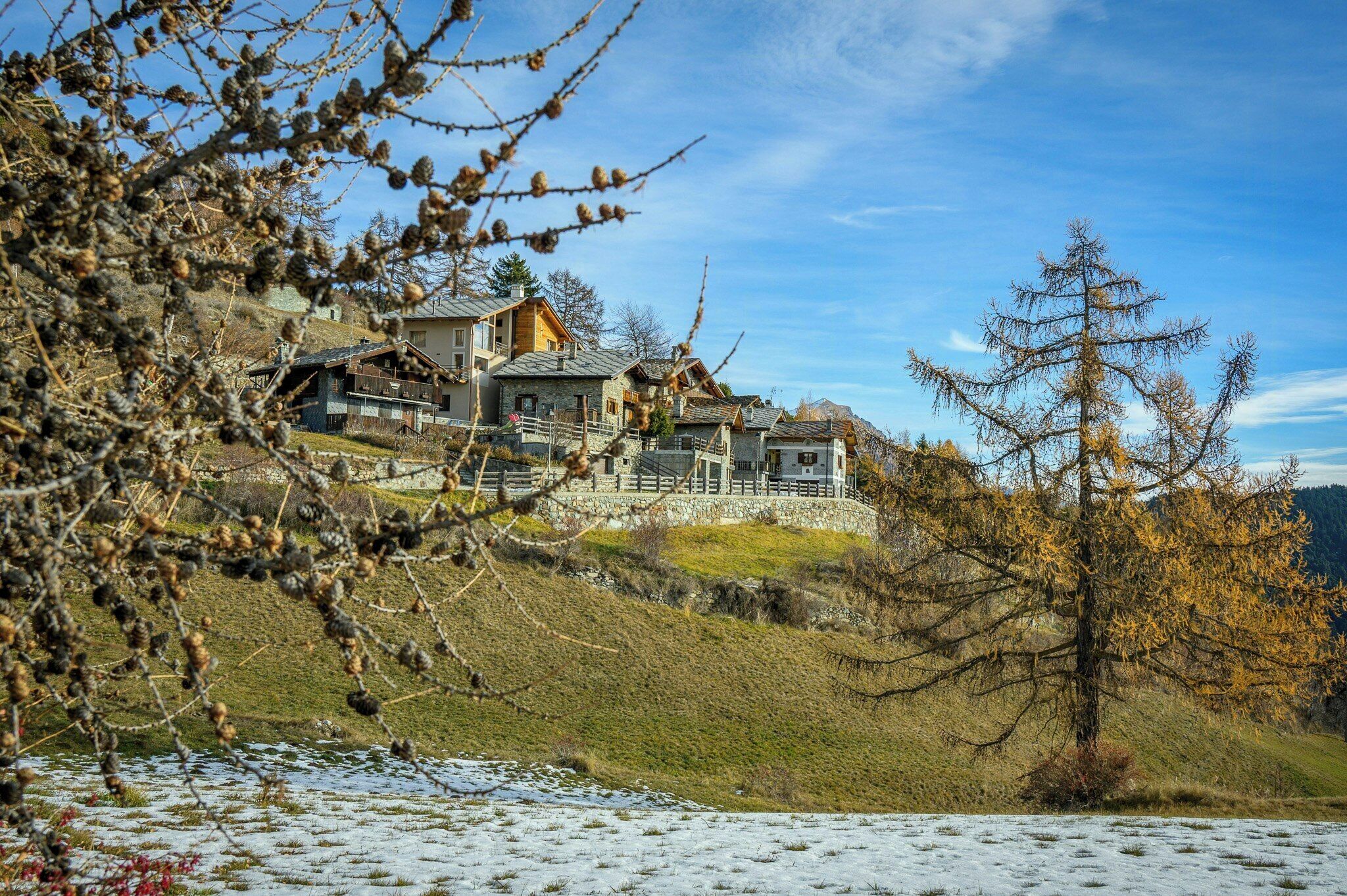 A mountainous village with traditional wooden houses, a stone bridge, and a prominent tree.