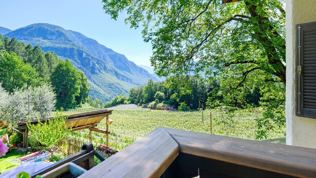 A wooden deck with a view of a vineyard and mountains.