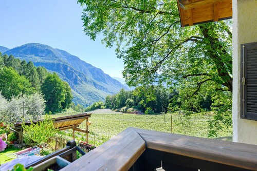 Room 'Rienznerhof Morgensonne 1' with Mountain View, Shared Terrace & Wi-Fi