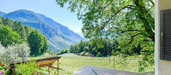 Room 'Rienznerhof Morgensonne 1' with Mountain View, Shared Terrace & Wi-Fi