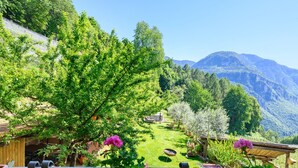A garden with a wooden deck, a wooden structure, and a mountain in the background.