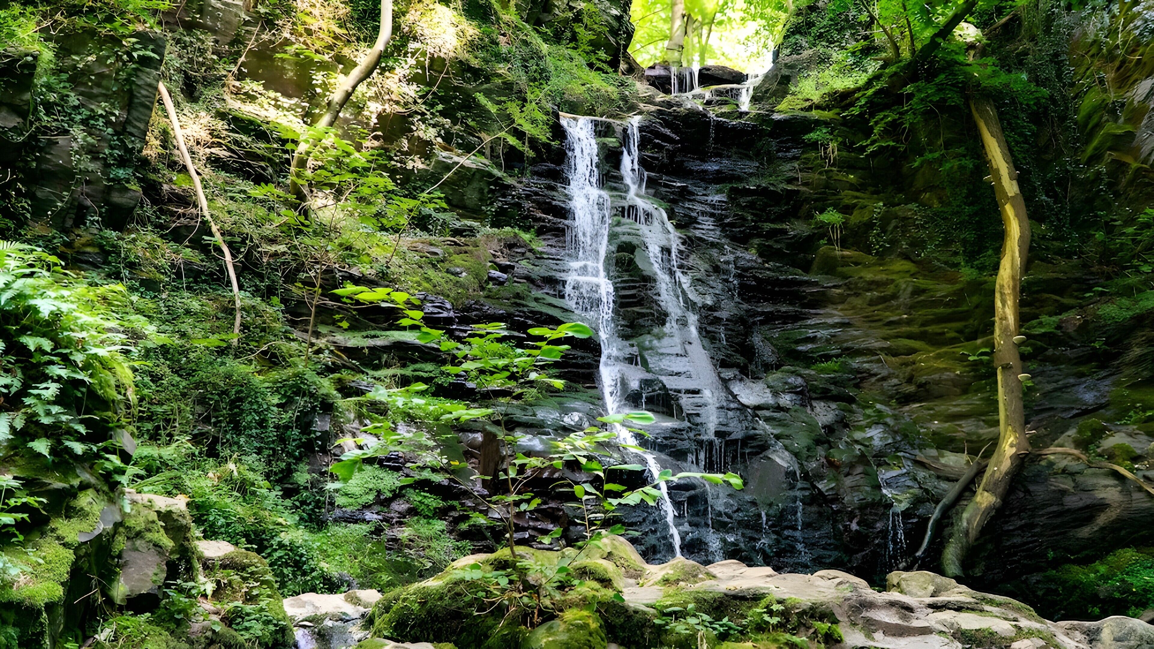 Une cascade entourée d’une végétation luxuriante.