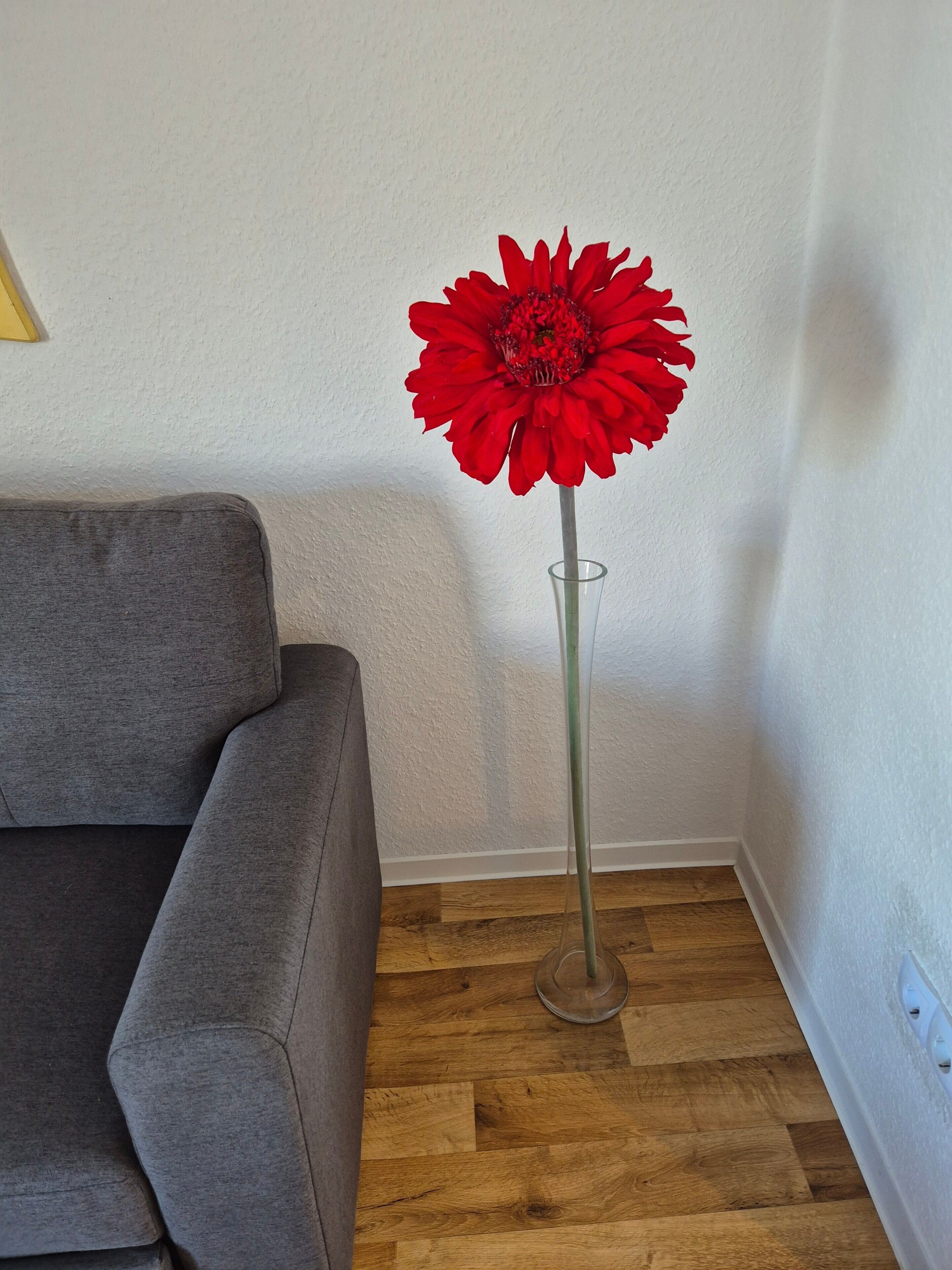 A grey sofa and a tall vase with a red flower in a corner.