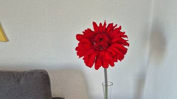 A grey sofa and a tall vase with a red flower in a corner.