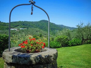 Ein Stebrunnen mit einer Metallbogenkonstruktion und roten Blüten, umgeben von grünem Gras und Olivenbäumen, mit einer hügeligen Landschaft im Hintergrund.