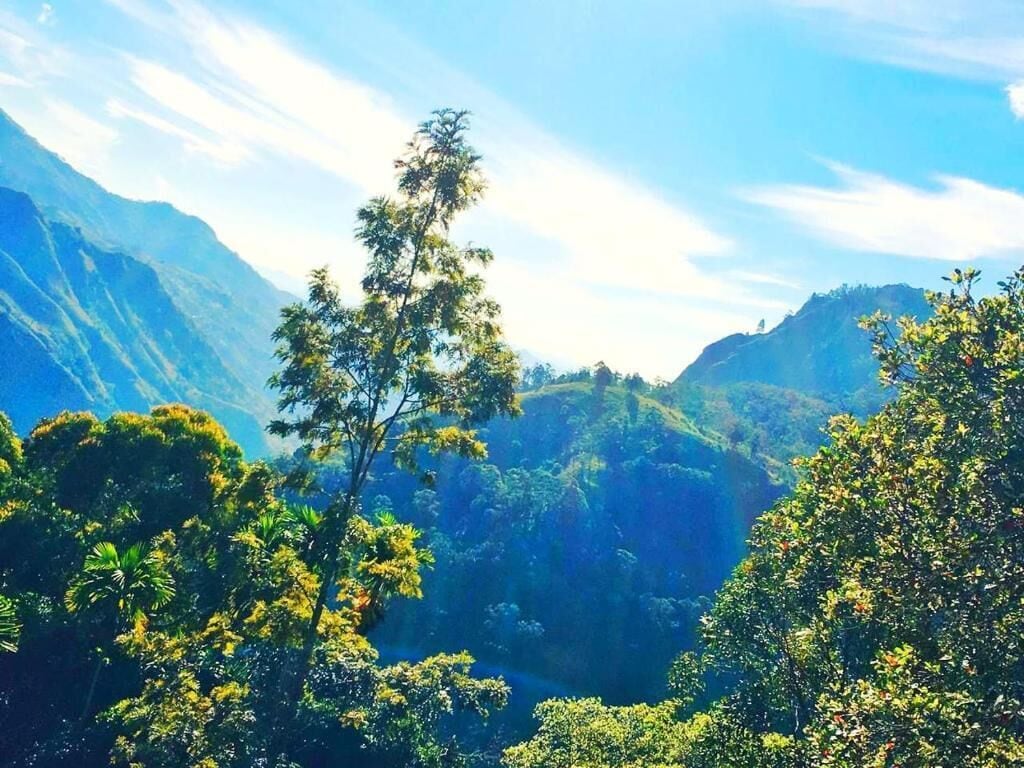 Double Room, Balcony, Mountain View | Miscellaneous