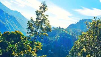 Double Room, Balcony, Mountain View | Miscellaneous