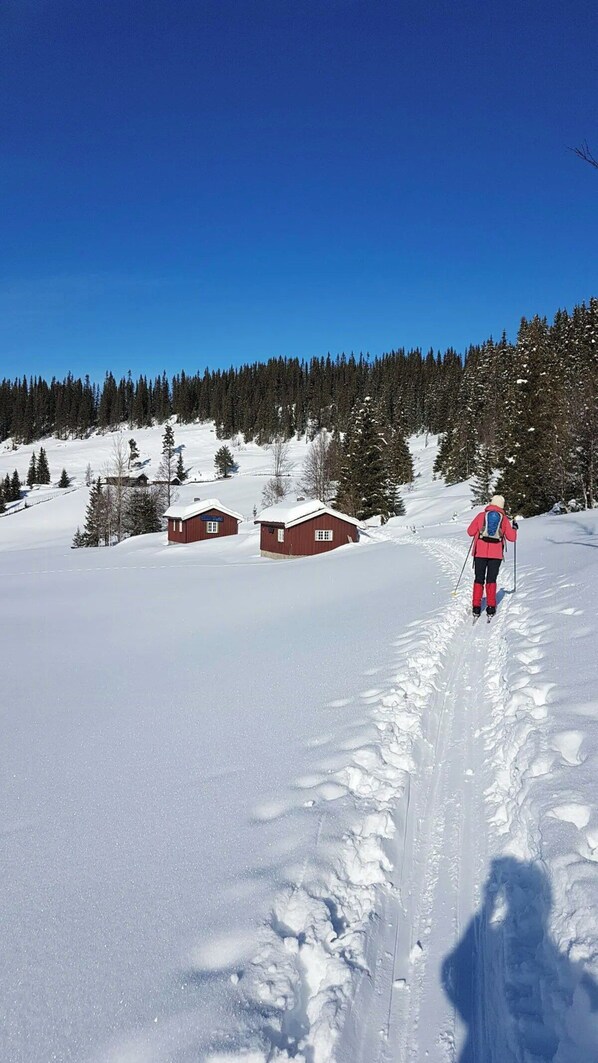 Wintersport/Ski