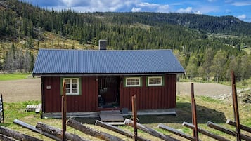 Eksteriør