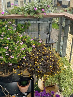 A balcony with potted plants and flowers, a metal railing, and a view of the street. - Penthouse with private garden (København)