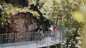 A metal bridge over a rocky cliff with trees on either side.