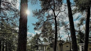 A forested area with a gravel path leading to a building with a small porch. - Modern Design Villa on Älgö Island (Saltsjöbaden)