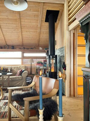 Fernseher, Kamin