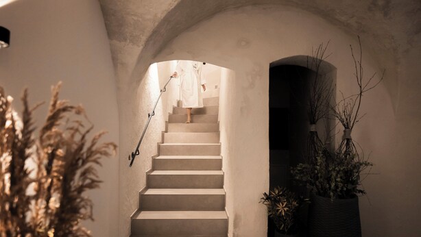 A staircase with a person ascending, leading to a dark doorway, surrounded by potted plants.