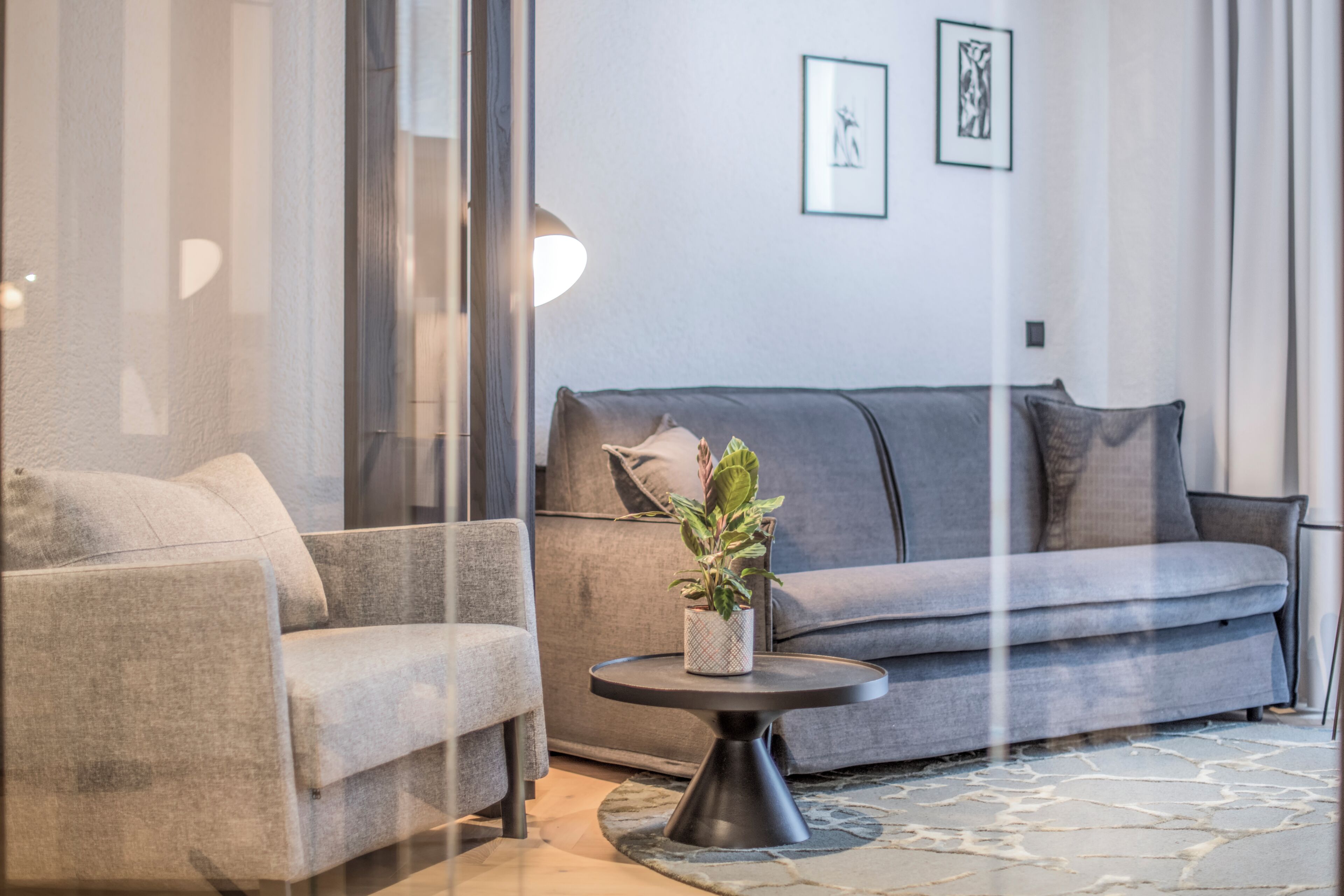 A modern living room with a grey sofa, a round coffee table with a plant, and a patterned rug.