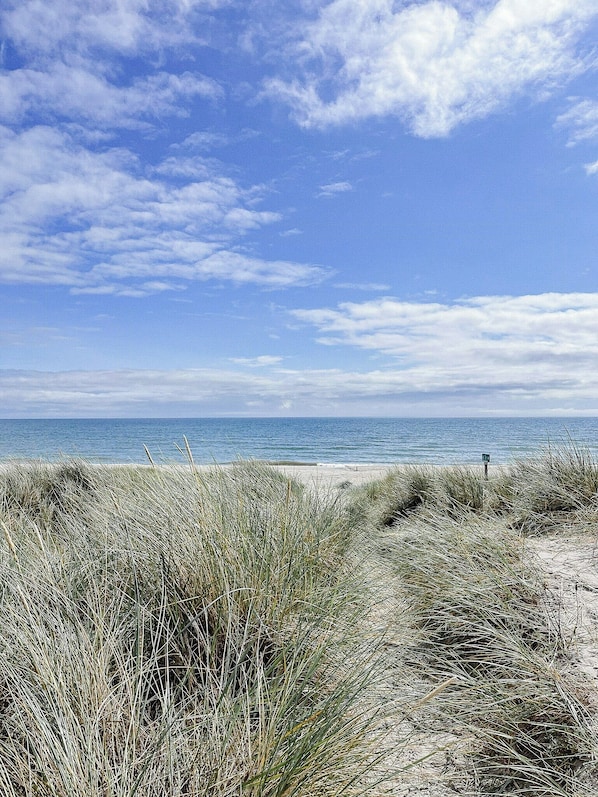 Playa