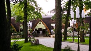 Un sendero en un jardín que lleva a un edificio con una entrada triangular, rodeado de árboles y rocas.