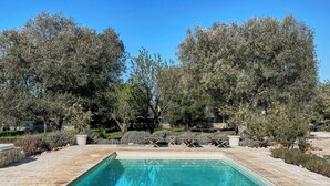 Une piscine rectangulaire bordée de pierres, entourée d’arbres et d’arbustes.