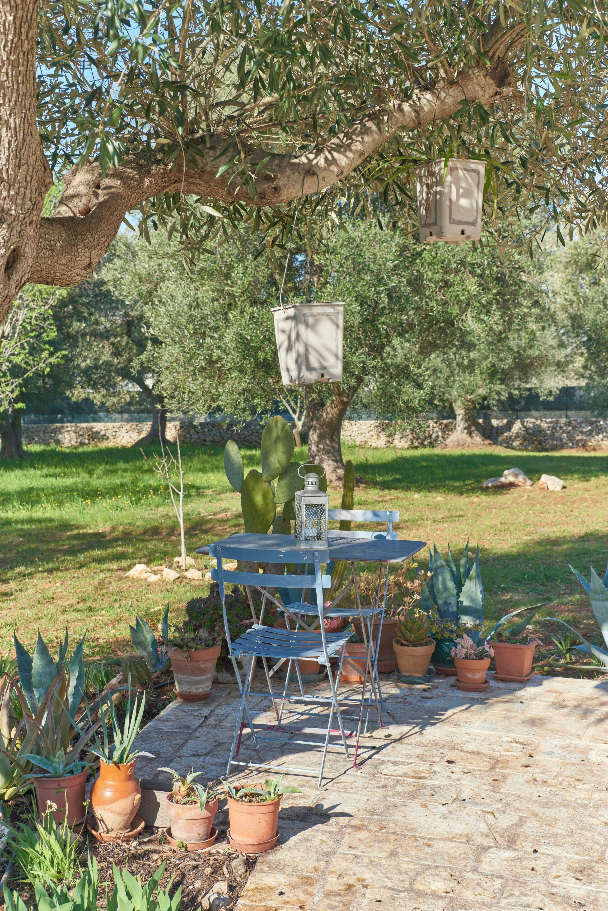 Un patio con una mesa y sillas, rodeado de plantas en macetas y un árbol grande.