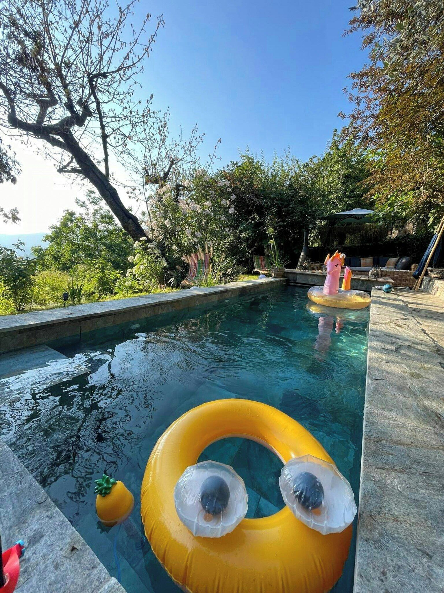 A swimming pool with inflatable rings, a pink flamingo float, and a clear blue sky.