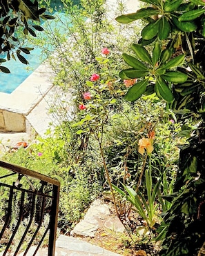 Ein Garten mit einem Kiesweg, üppigem Grün und rosa Blüten.