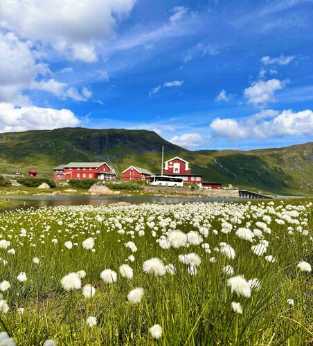 Spectacular cabin with view in Jotunheimen