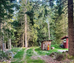 Un'area boschiva con un sentiero sterrato che conduce a una piccola costruzione in legno.