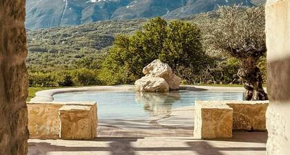 Villa with pool, wilderness spa and star dome