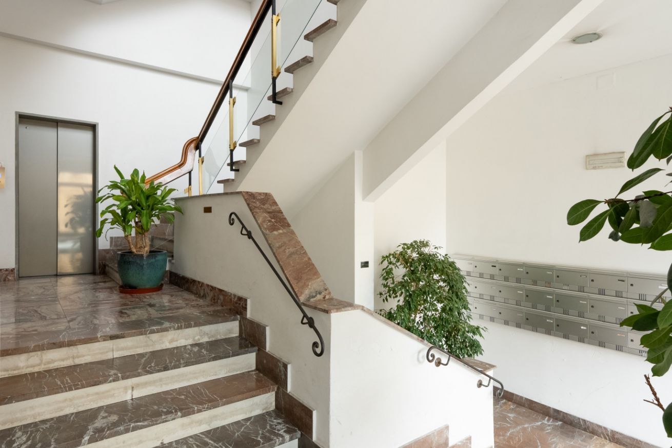 Una escalera con escalones de mármol, barandilla de metal y una planta en maceta.