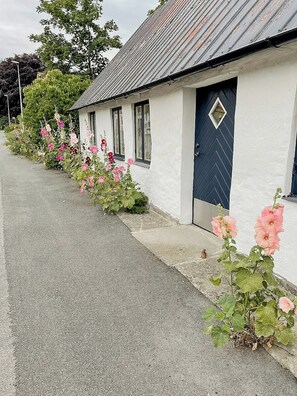 En vit byggnad med en mörkblå dörr, ett litet fönster och en trädgård med rosa blommor.