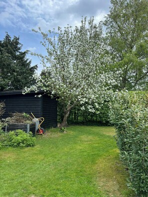 Ein Garten mit einem blühenden Baum, einem Rasenwagen und einem Gerätehaus.