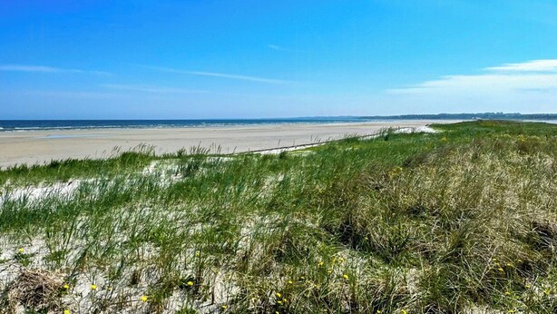 A beach with dunes and a clear sky. - Log cabin with water views near Fjellerup beach (Ørsted)