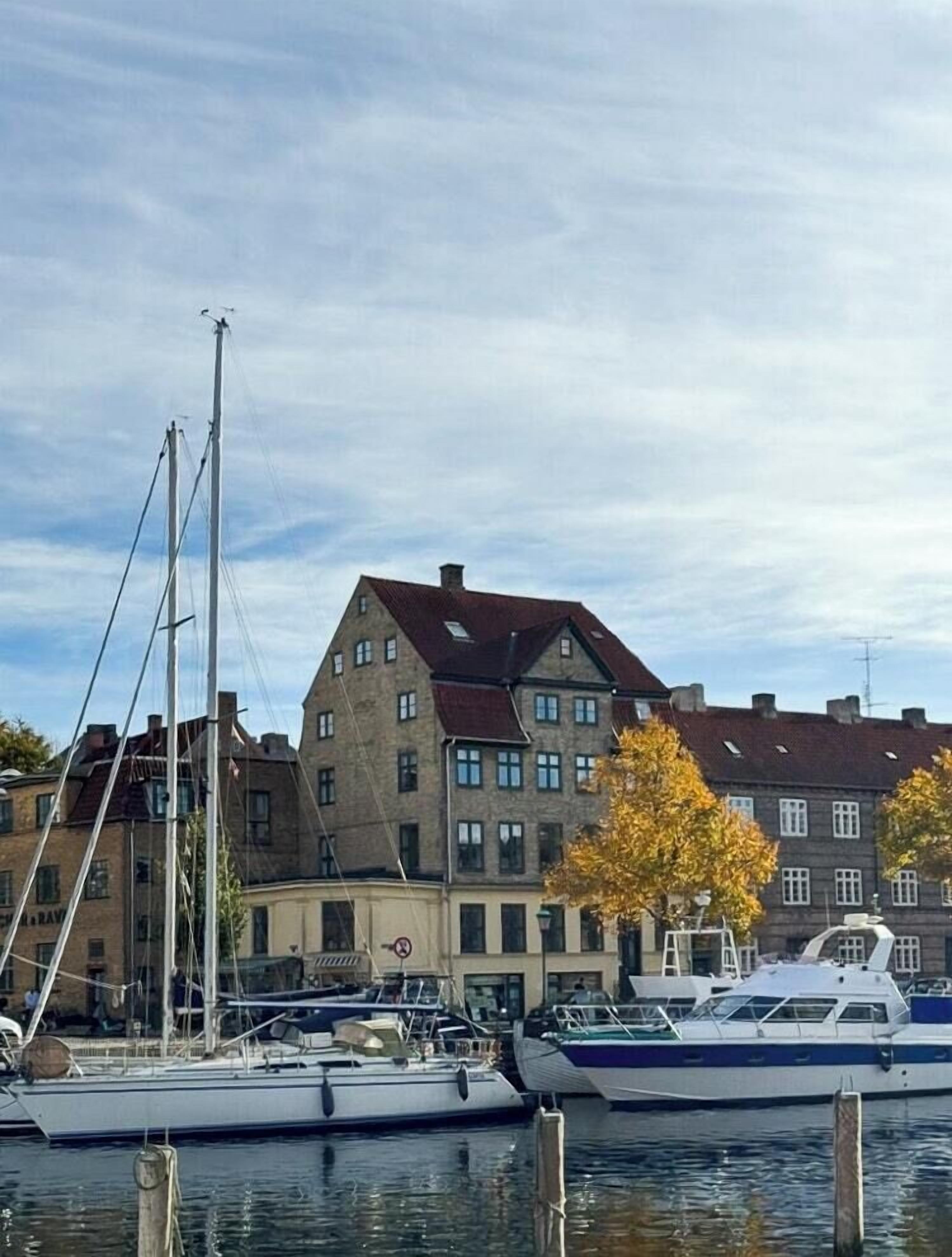 En lysthavn med fortøjede både, en bygning med mange vinduer, og et træ med gule blade.