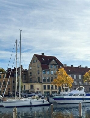 En lysthavn med fortøjede både, en bygning med mange vinduer, og et træ med gule blade.