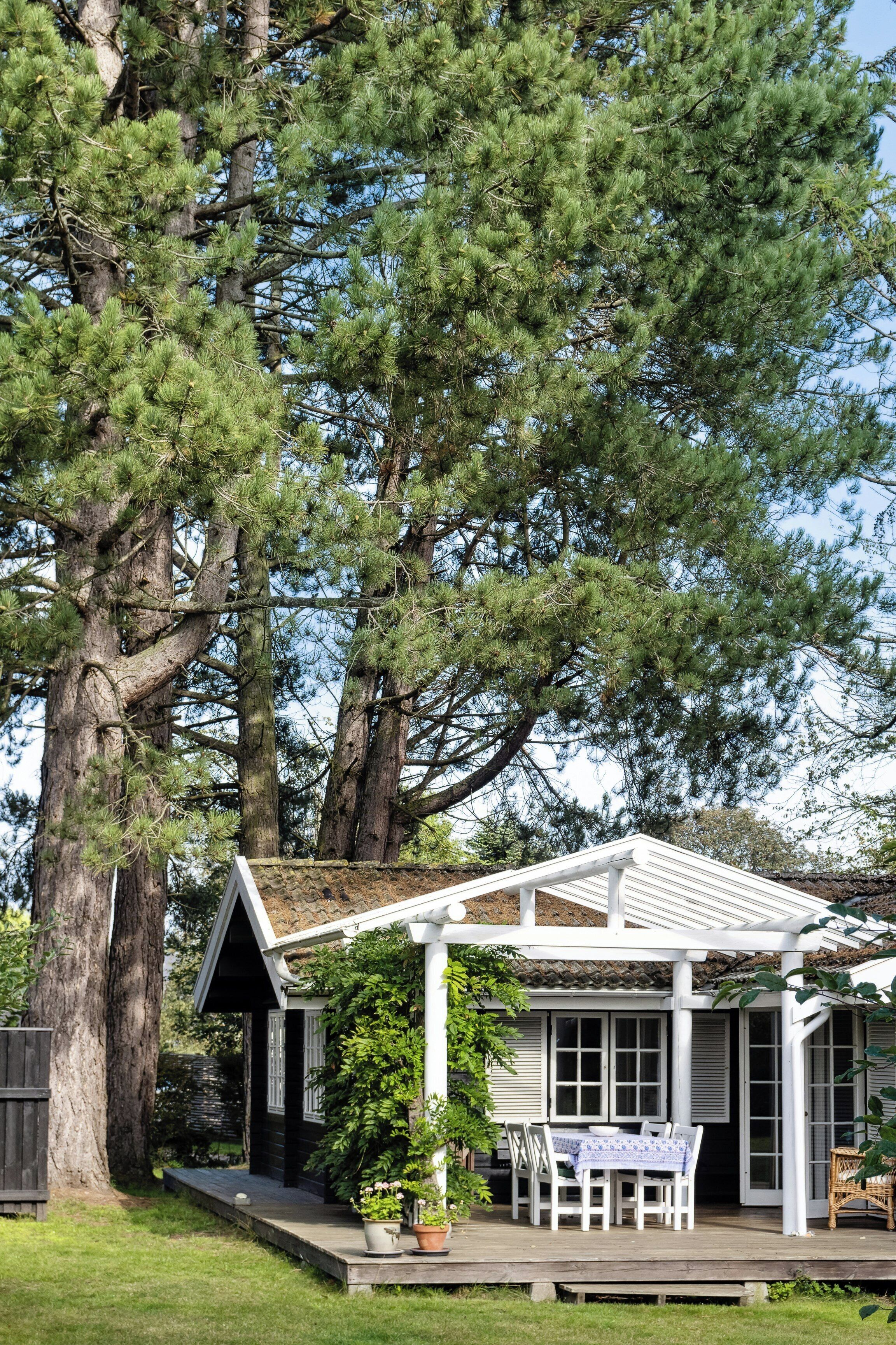 A covered outdoor seating area with a table and chairs, surrounded by large trees.