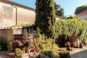 A courtyard with a tall tree, potted plants, and a rustic building with a wooden fence. - Eco-friendly gite in a wine estate in Frontignan (Frontignan)