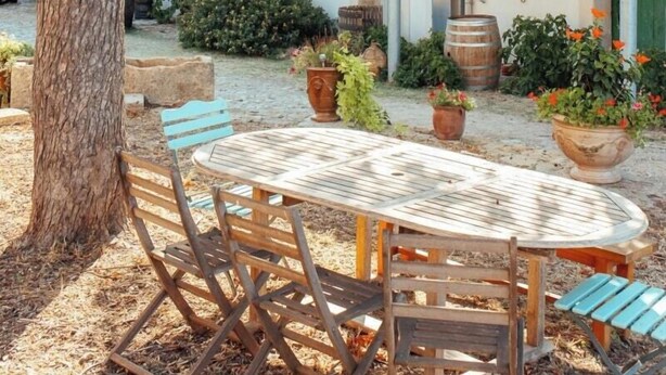A courtyard with a round wooden table and chairs, surrounded by a tree and potted plants. - Eco-friendly gite in a wine estate in Frontignan (Frontignan)