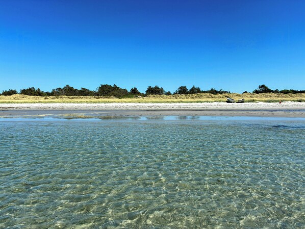 Ein Strand mit klarem, flachen Wasser, einem sandigen Ufer und einer Baumreihe im Hintergrund.
