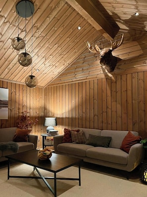 TV, fireplace - Cozy cottage with sauna in Flå (Flå)