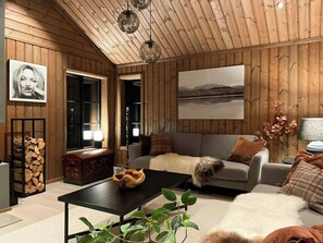 Fernseher, Kamin