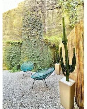 Un espace patio agrémenté d’un cactus, de deux chaises et d’un mur à la texture particulière.