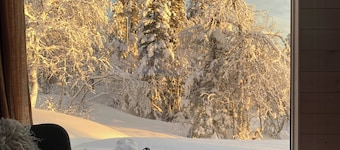 Mountain cabin with sauna at Blefjell