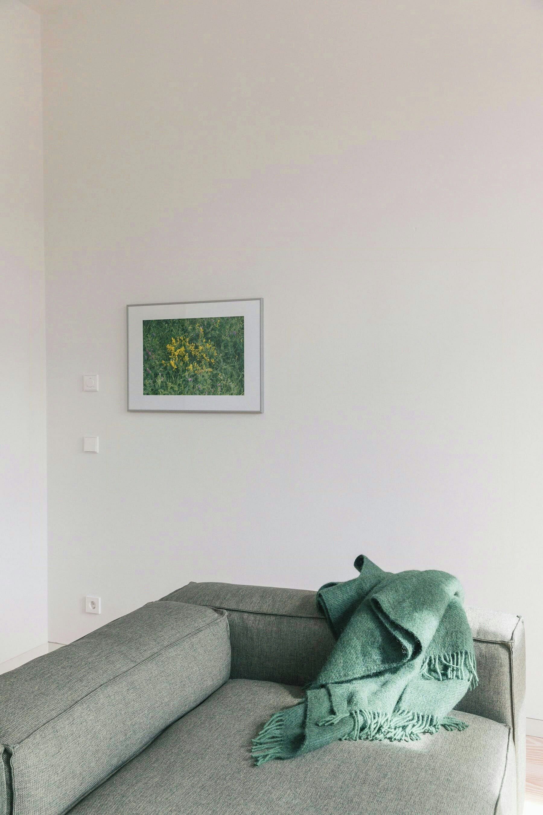 A room with a grey sofa, a framed picture on the wall, and a green throw blanket.
