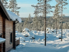 Lumipeitteinen puinen mökki, jonka katto on lumen peitossa, ja jonka ympärillä on korkeiden, lumikuorman alla olevien puiden muodostama metsä.